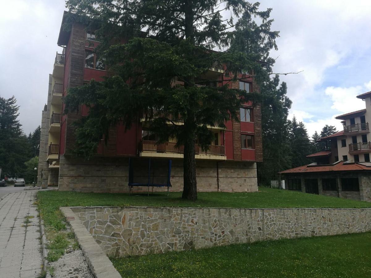 Luxury Apartament In "Sequoia" 2 Μπόροβετς Εξωτερικό φωτογραφία